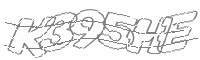 Check code