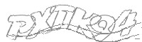 Check code